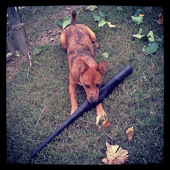 Just Me!: Important people in my life.